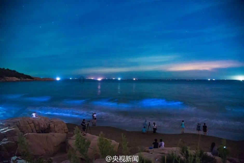 渣渣辉传奇