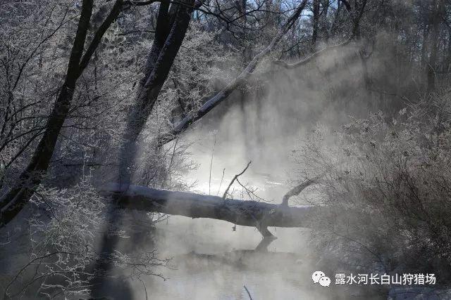 崔家乡:激活党风廉政建设“一池春水”