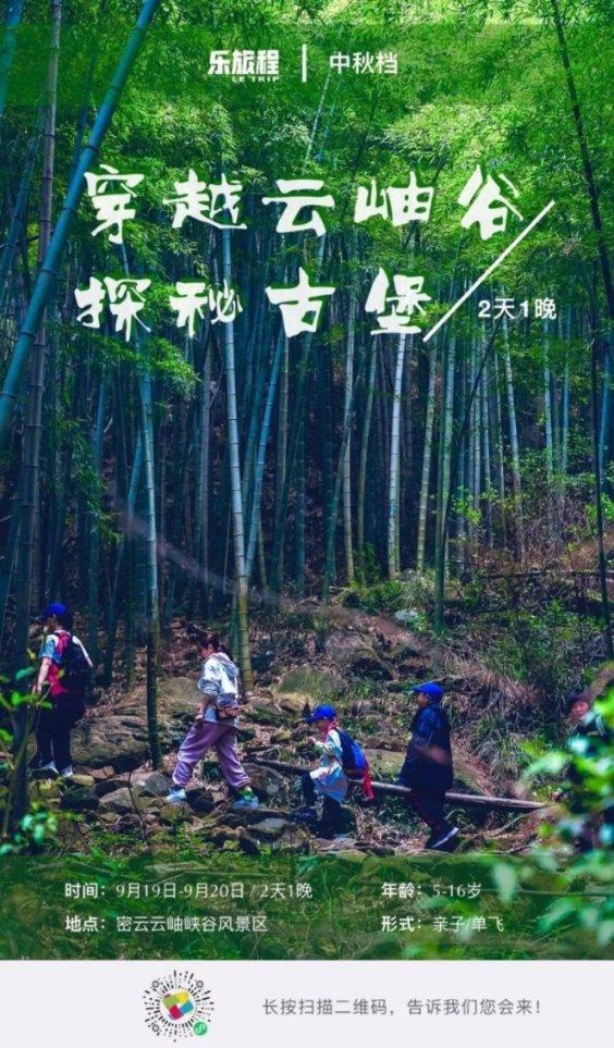 心不由己的意思