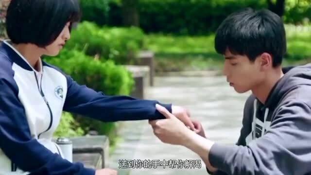 澳洲皮草