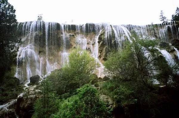民间流传的“抗癌偏方”可能害死人,千万别轻信!