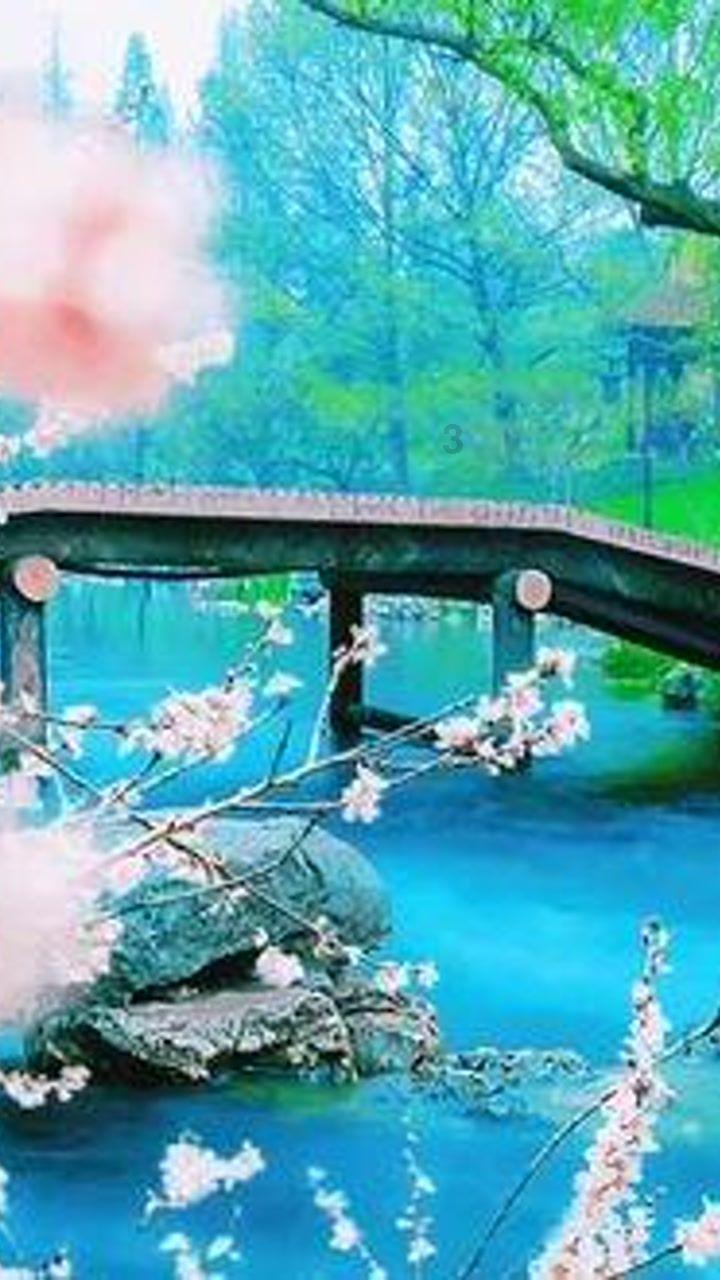 新忍出击